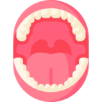 mouth