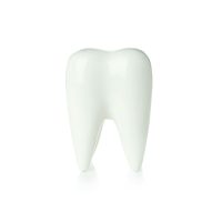 tooth-care-concept-tooth-isolated-on-white-backgr-2022-09-14-05-01-23-utc (1)