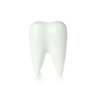 tooth-care-concept-tooth-isolated-on-white-backgr-2022-09-14-05-01-23-utc (1)